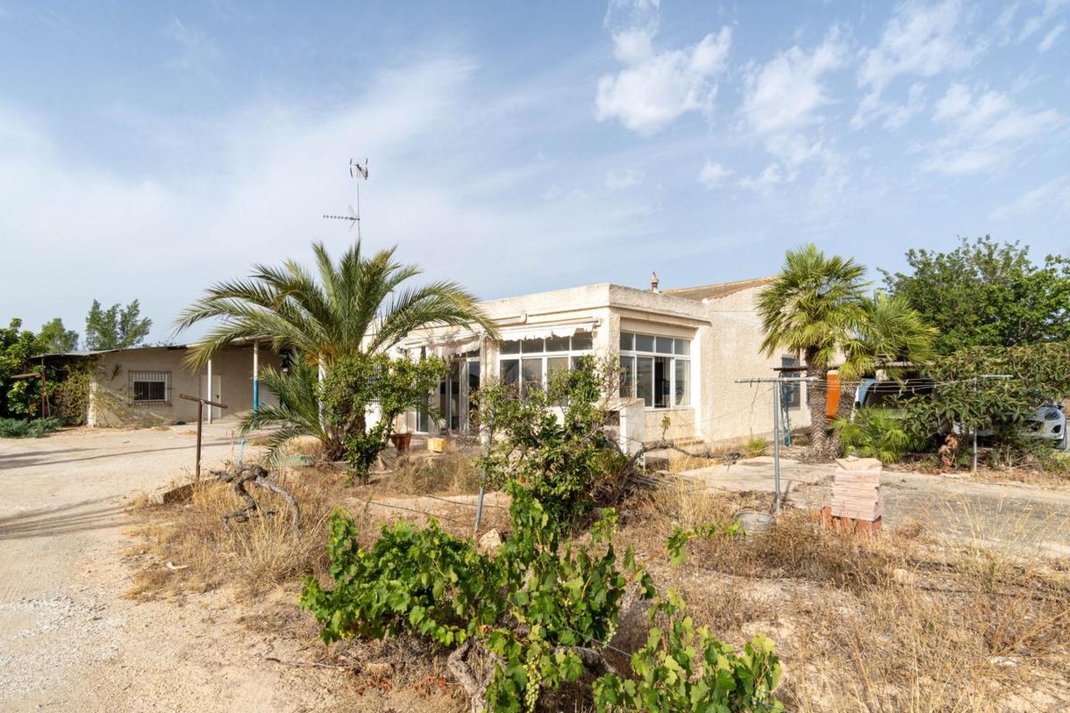 Sale of rural property in Finca rústica en Partida Saladas, 2015 a, Jubalcoi-Saladas, Elche / Elx , Elche / Elx photo 4