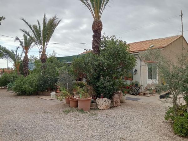 Casa o chalet independiente en Torrellano, Elche / Elx thumbnail 2