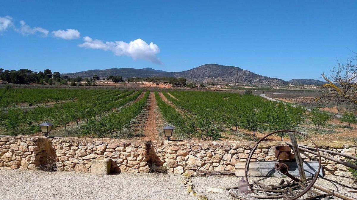 Propiedades en venta y alquiler en España photo 4