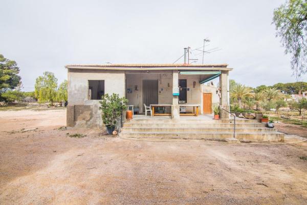 Rustic farm for sale in Finca rústica en Peña de Las Águilas, Elche / Elx , Elche / Elx thumbnail 2