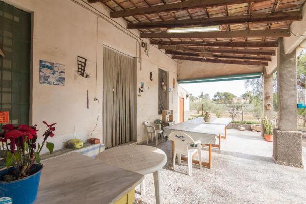 Rustic farm for sale in  Finca rústica en Peña de Las Águilas, Elche / Elx , Elche / Elx photo 4