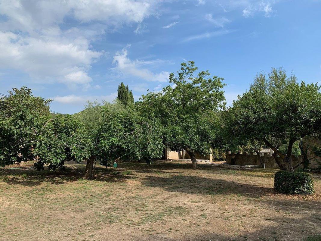 Недвижимость на продажу и в аренду в Испании photo 5