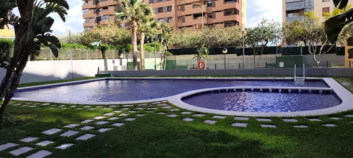 Venta de piso en Piso en Paus, Alicante / Alacant, Alicante / Alacant
photo 1