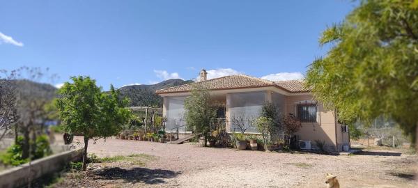 Casa o chalet independiente en Barrio Polsegueros, La Romana thumbnail 2