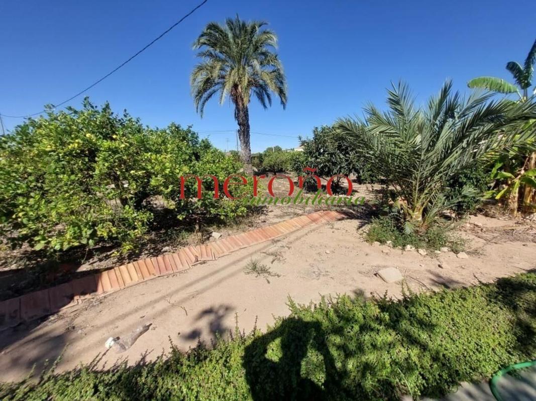 Venta de finca rústica en Finca rústica en La Galia-Bonavista, Elche / Elx , Elche / Elx photo 4