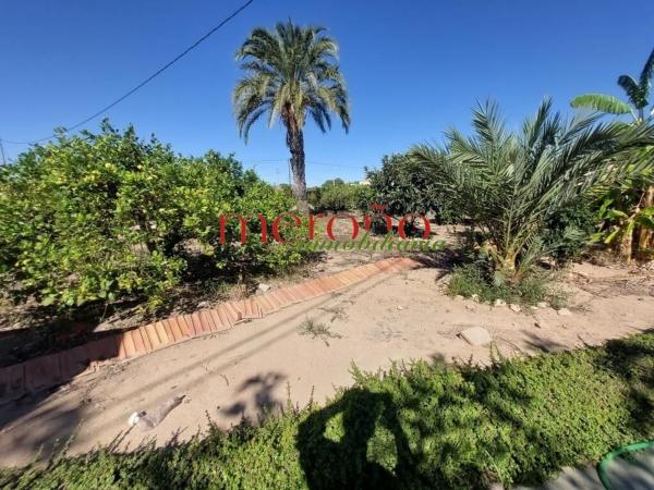 Rustic farm for sale in  Finca rústica en La Galia-Bonavista, Elche / Elx , Elche / Elx photo 4