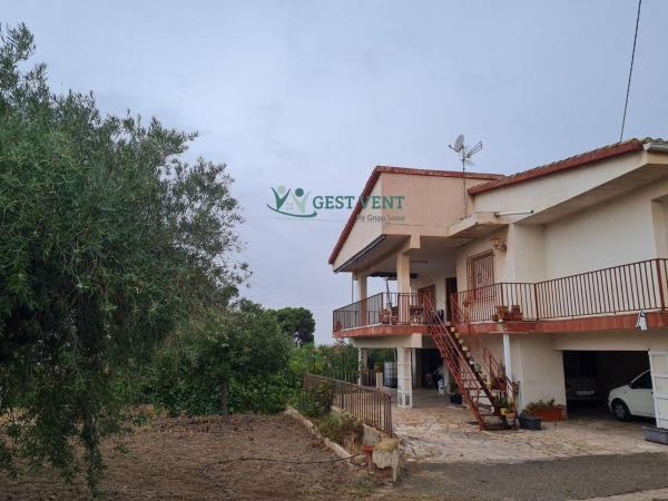 Casa o chalet independiente en Petrer photo 1