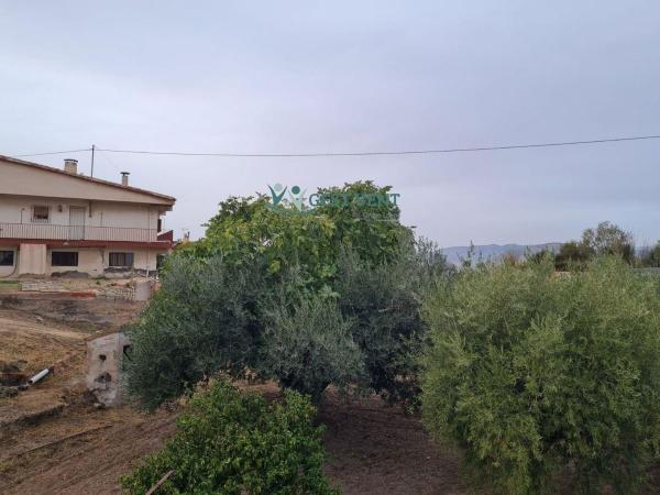 Casa o chalet independiente en Petrer thumbnail 3