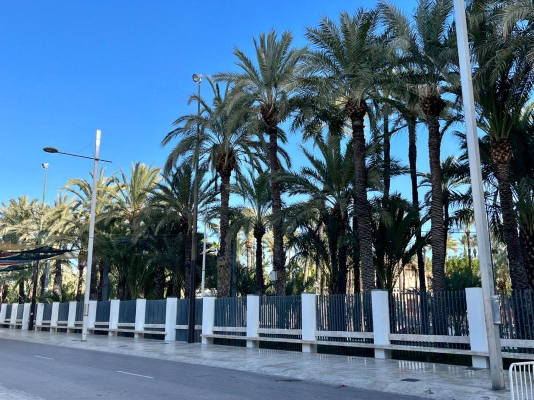 Продажа квартиры на Piso en Centro, Elche / Elx, Эльче / Эльх
photo 1