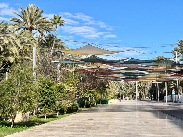 Продажа квартиры на Piso en Centro, Elche / Elx, Эльче / Эльх
thumbnail 2