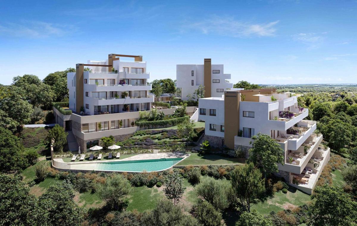 Buganvilla
