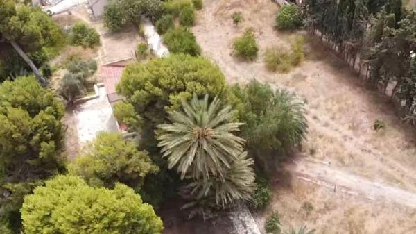 Cortijo en Villafranqueza, Alicante / Alacant photo 4