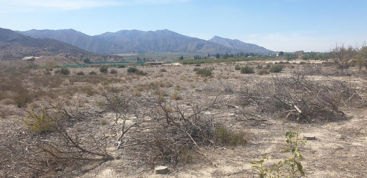 Land for sale in Benferri, Alicante photo 1