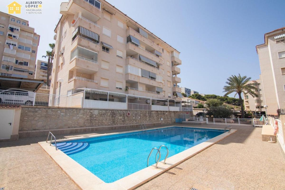 Sale of apartment in Piso en Arenales del Sol, Elche / Elx, Elche / Elx
photo 4