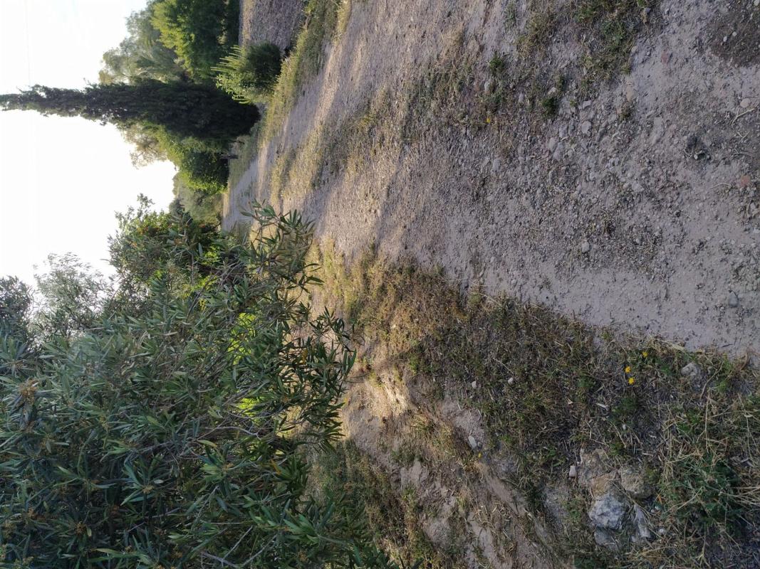 Продажа загородного участка в Finca rústica en Calle Cenia, 12, Monovar , Моновар photo 2