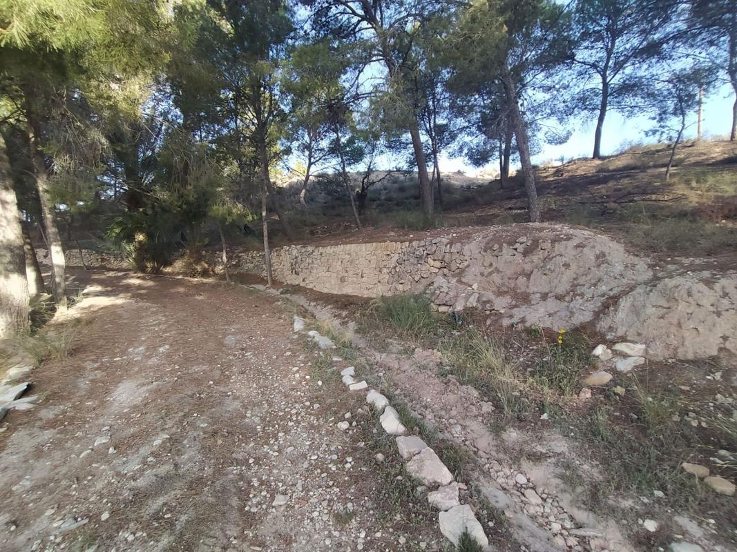Продажа загородного участка в Finca rústica en Calle Cenia, 12, Monovar , Моновар photo 5