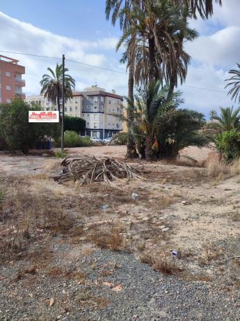 Продаётся загородный участок в  Finca rústica en La Marina, Elche / Elx , Эльче / Эльх photo 1