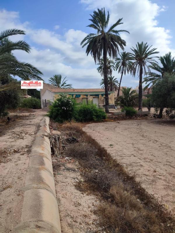 Sprzedaż działki rolnej w Finca rústica en La Marina, Elche / Elx , Elche / Elx photo 2
