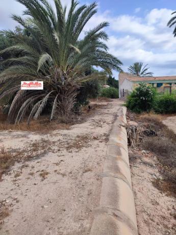 Продаётся загородный участок в  Finca rústica en La Marina, Elche / Elx , Эльче / Эльх photo 4