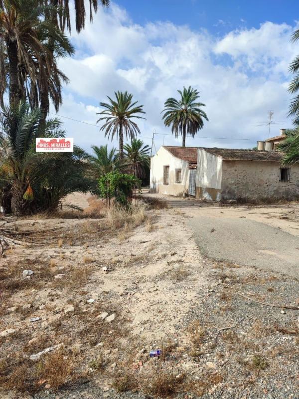 Sprzedaż działki rolnej w Finca rústica en La Marina, Elche / Elx , Elche / Elx photo 5