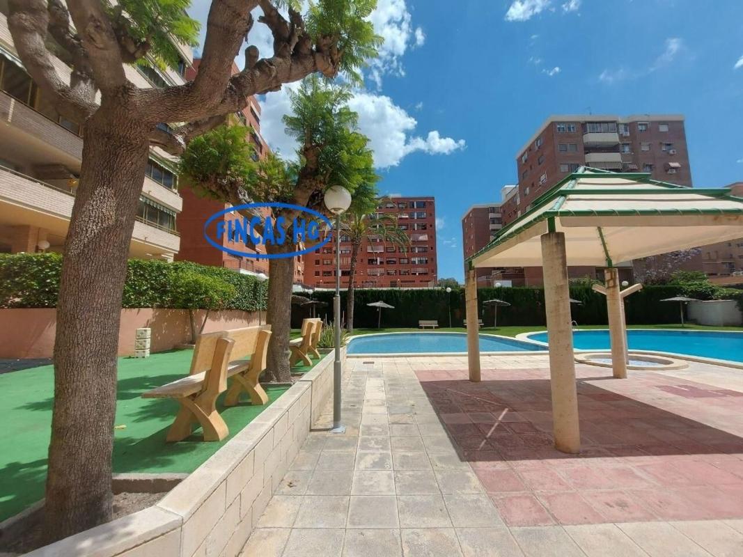 Sale of apartment in Piso en Calle Padre Recaredo de Los Rios, San Blas, Alicante / Alacant, Alicante
photo 2