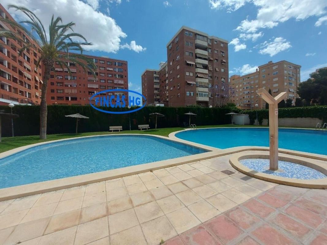 Sale of apartment in Piso en Calle Padre Recaredo de Los Rios, San Blas, Alicante / Alacant, Alicante
photo 3