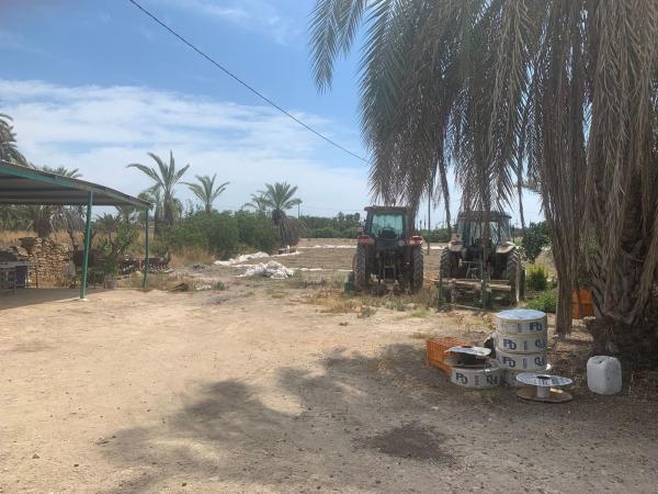 Finca rustykalna na sprzedaż w  Finca rústica en Carretera de Elche a Casas del León, 30, Algoda-Matola-Llano de San José, Elche / Elx , Elche / Elx photo 4