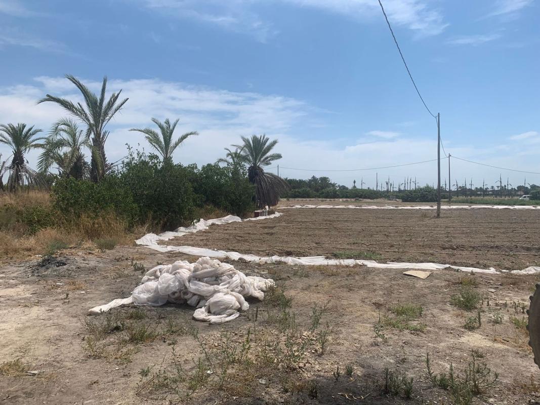 Sale of rural property in Finca rústica en Carretera de Elche a Casas del León, 30, Algoda-Matola-Llano de San José, Elche / Elx , Elche / Elx photo 5
