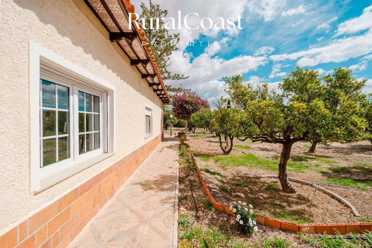 Properties for sale and rent in Spain photo 2