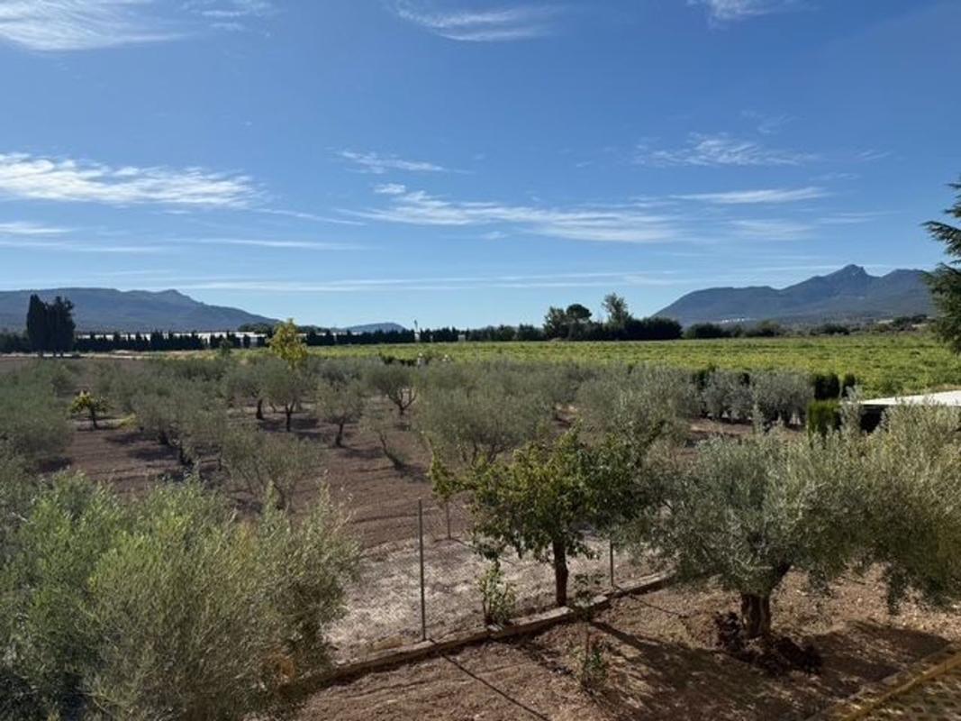 Venta de finca rústica en Finca rústica en barranco de las gargas, 1, Ibi , Ibi photo 3