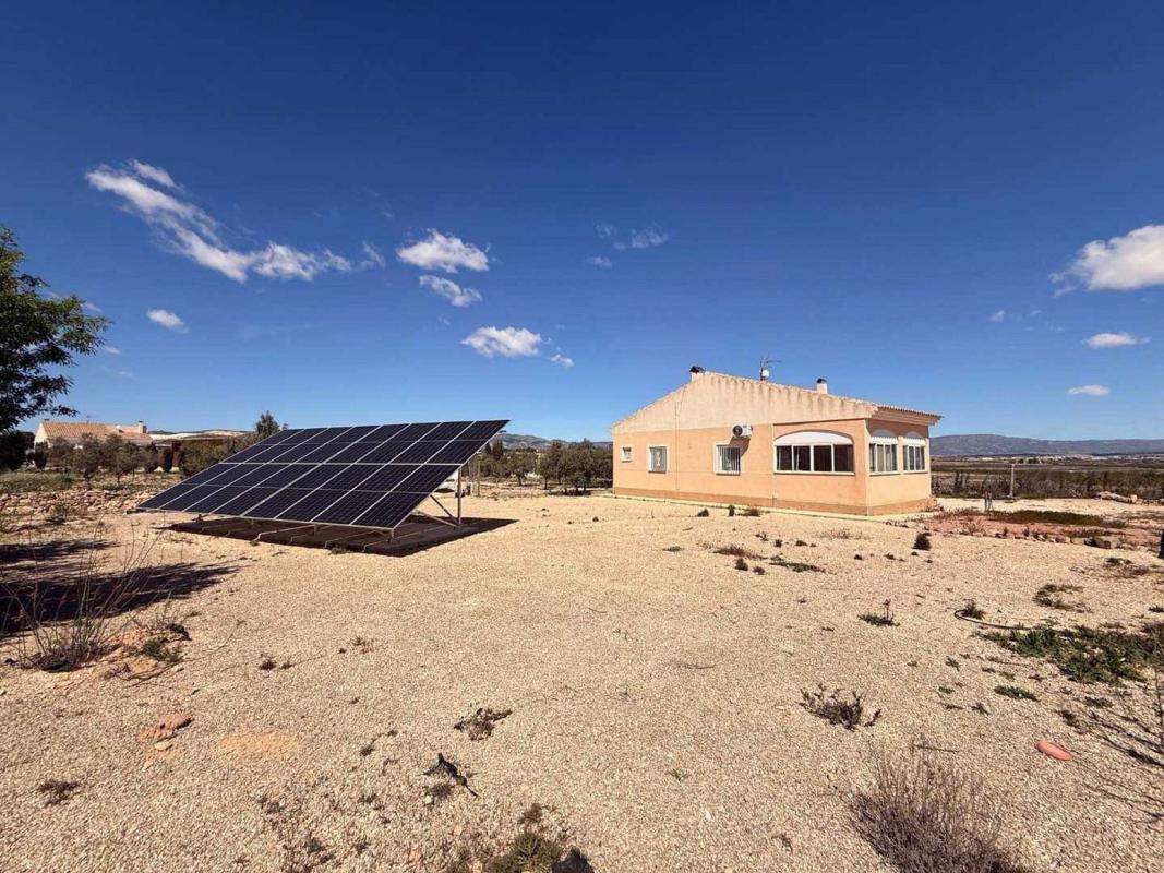 Sale of independent chalet in Casa o chalet en Pinoso, Pinoso
 photo 5