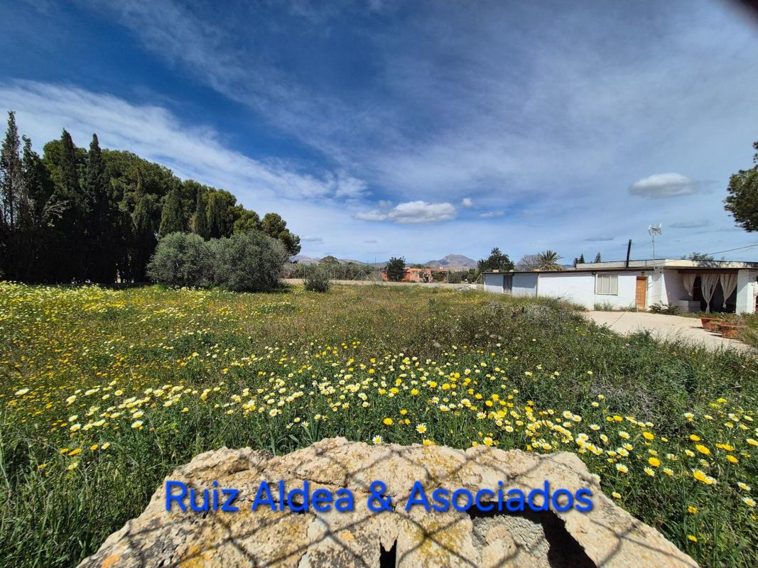 Properties for sale and rent in Spain photo 5