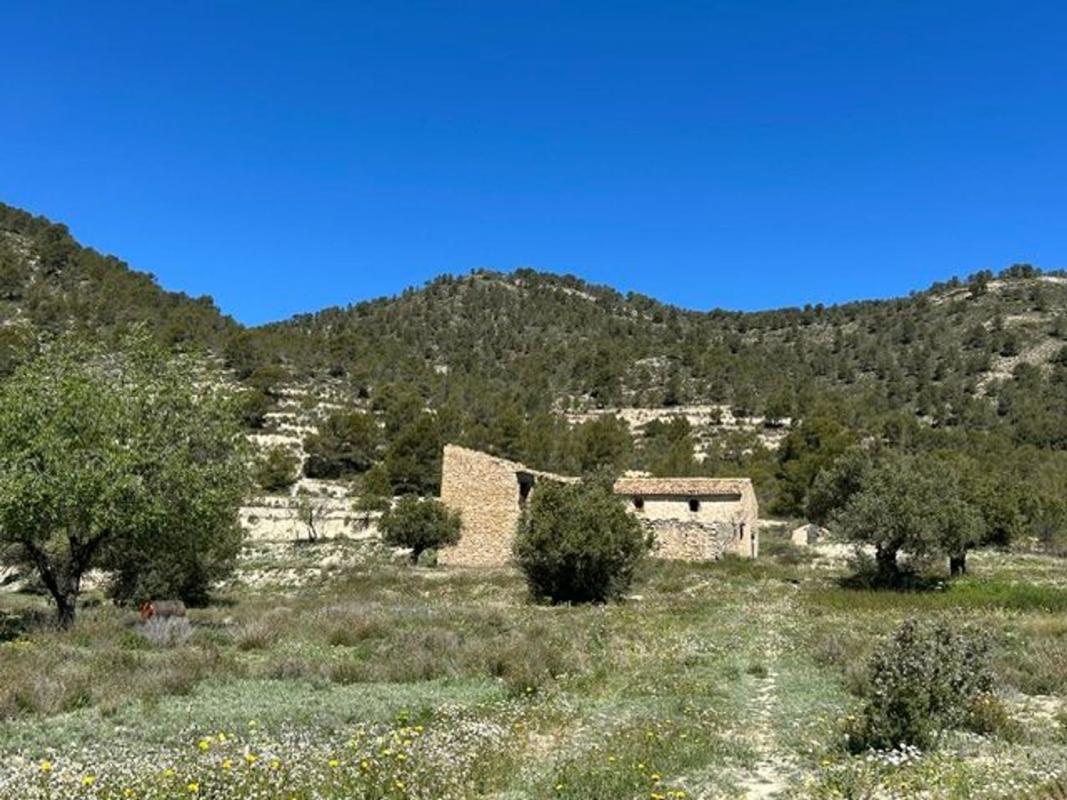 Properties for sale and rent in Spain photo 1