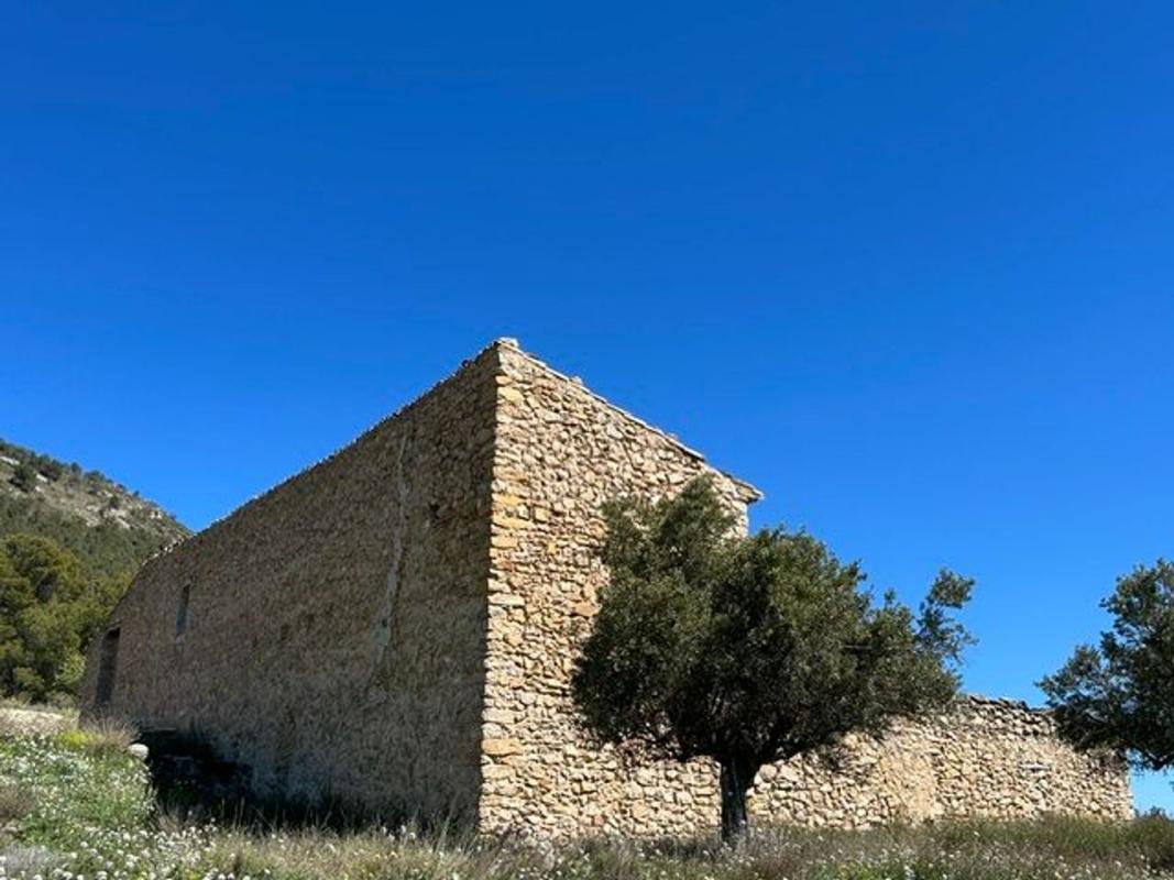 Properties for sale and rent in Spain photo 4