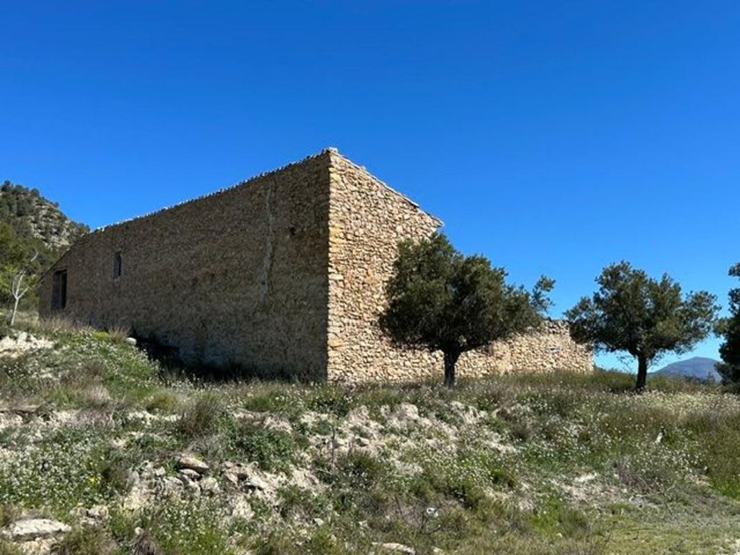 Properties for sale and rent in Spain photo 5
