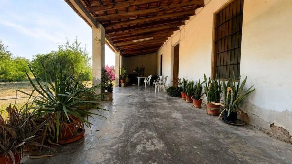 Rustic farm for sale in  Finca rústica en Partida Maitino, Maitino-Perleta, Elche / Elx , Elche / Elx photo 1