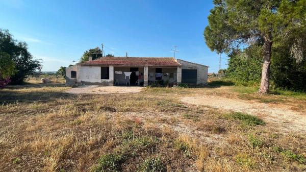 Rustic farm for sale in  Finca rústica en Partida Maitino, Maitino-Perleta, Elche / Elx , Elche / Elx photo 2