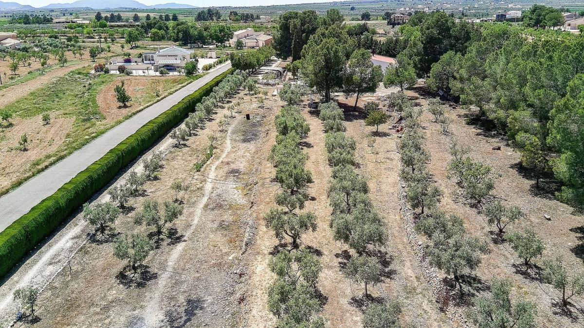 Sale of rural property in  Finca rústica en Pinoso , Pinoso photo 4