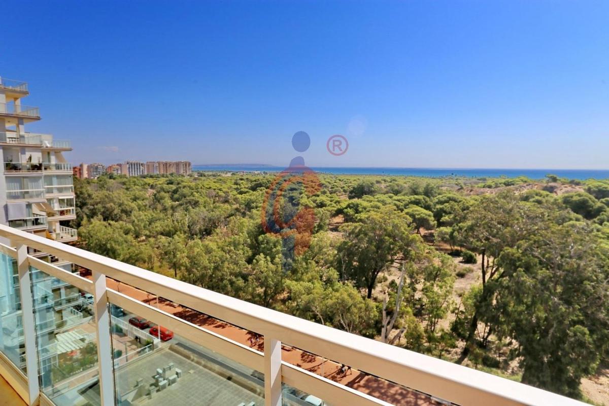 Sale of apartment in Piso en Calle Alcalde Rosalino Perez Hernandez, 27, Puerto Deportivo, Guardamar del Segura, Guardamar del Segura
 photo 5