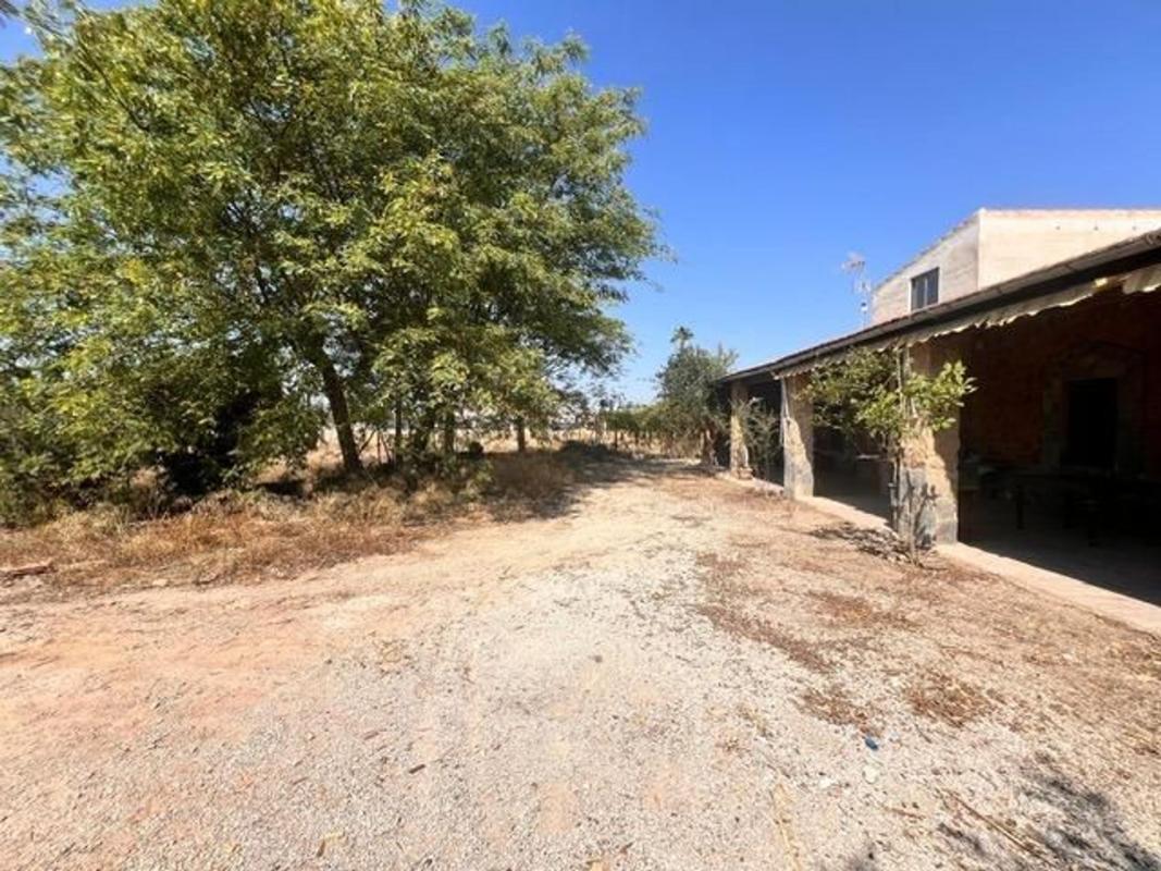 Properties for sale and rent in Spain photo 4