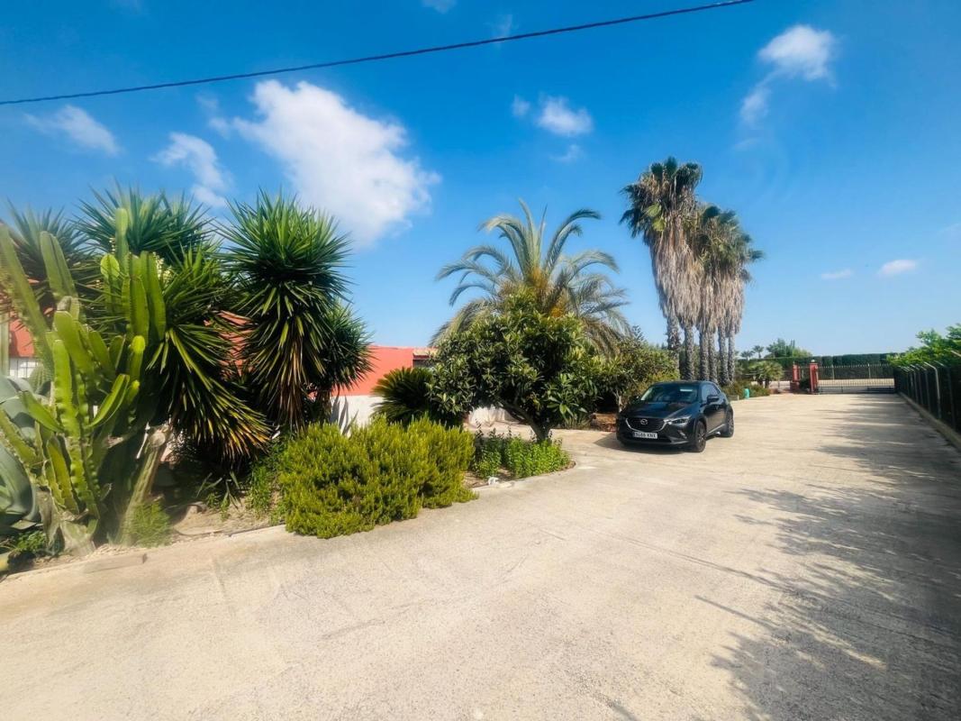 Properties for sale and rent in Spain photo 2