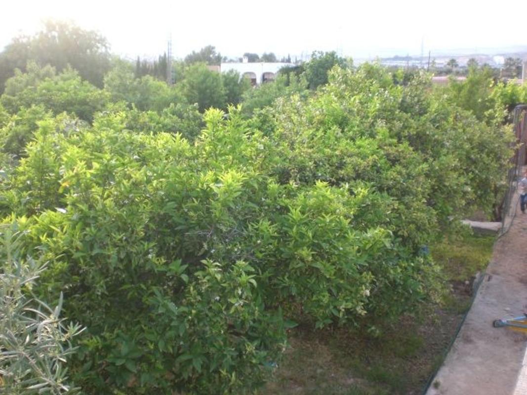 Properties for sale and rent in Spain photo 5