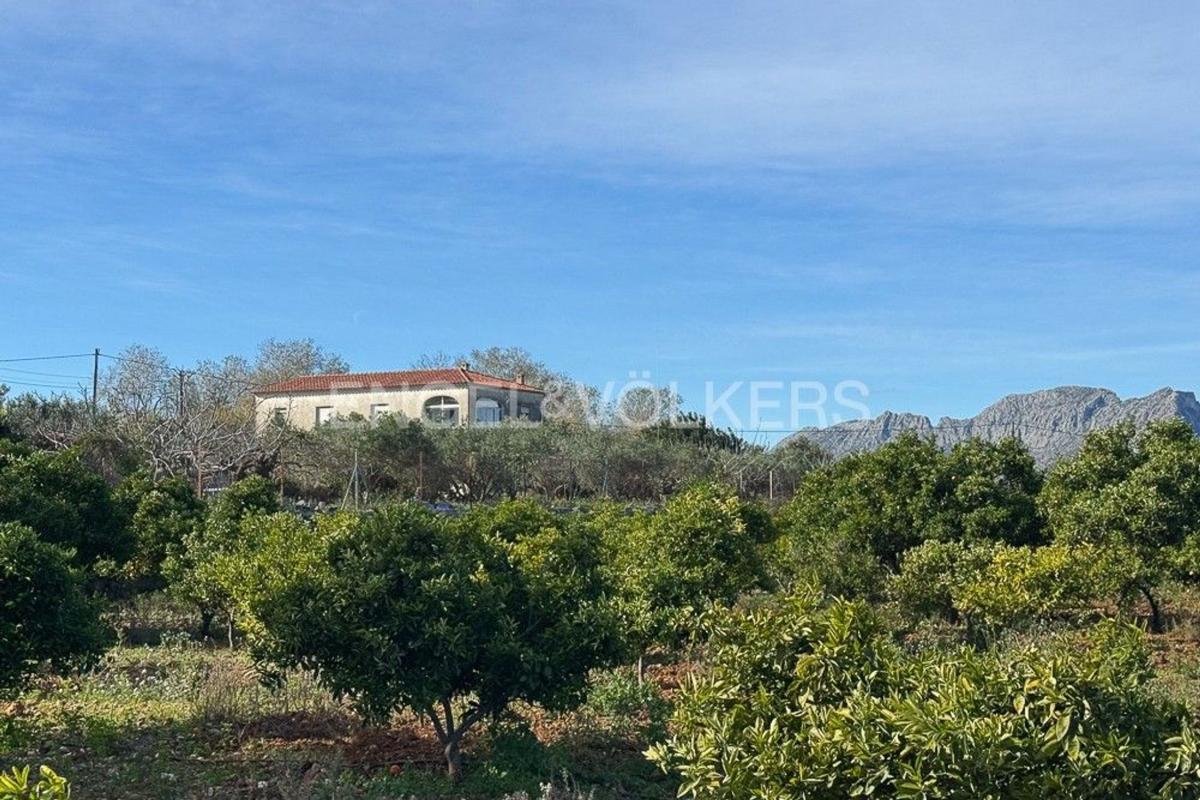 Properties for sale and rent in Spain photo 1