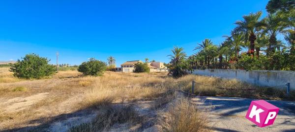 Casa rural en Parcela, Maitino-Perleta, Elche / Elx thumbnail 3