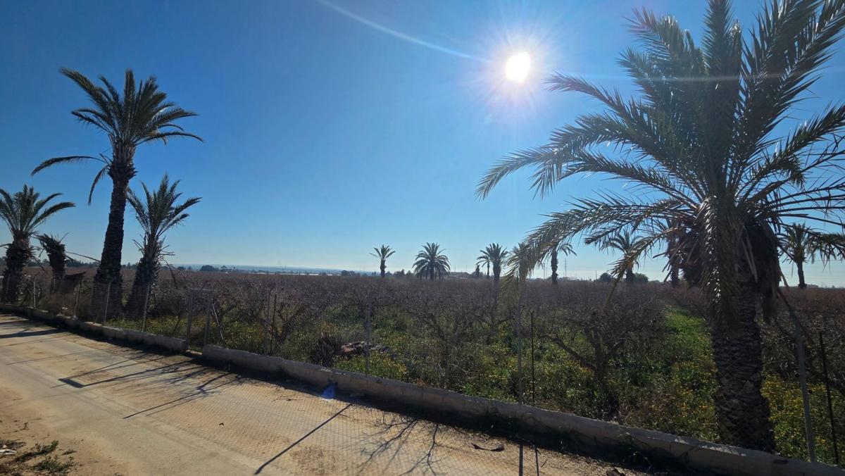 Properties for sale and rent in Spain photo 5