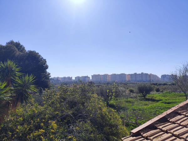 Casa o chalet independiente en Avenida U.N.E.S.C.O, 1225, La Galia-Bonavista, Elche / Elx photo 1