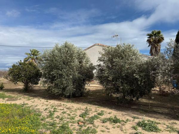 Продаётся загородный участок в  Finca rústica en Partida Baya Baja, 2201 b, Las Bayas-Asprillas, Elche / Elx , Эльче / Эльх photo 2