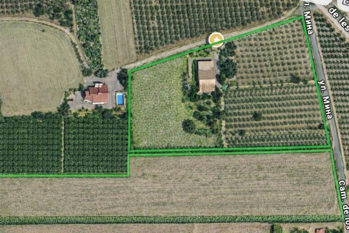 Продажа загородного участка в  Finca rústica en Partida Baya Baja, 2201 b, Las Bayas-Asprillas, Elche / Elx , Эльче / Эльх photo 3