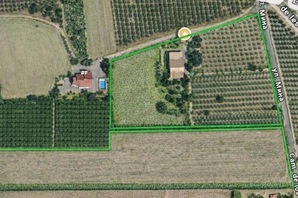 Продаётся загородный участок в  Finca rústica en Partida Baya Baja, 2201 b, Las Bayas-Asprillas, Elche / Elx , Эльче / Эльх photo 3
