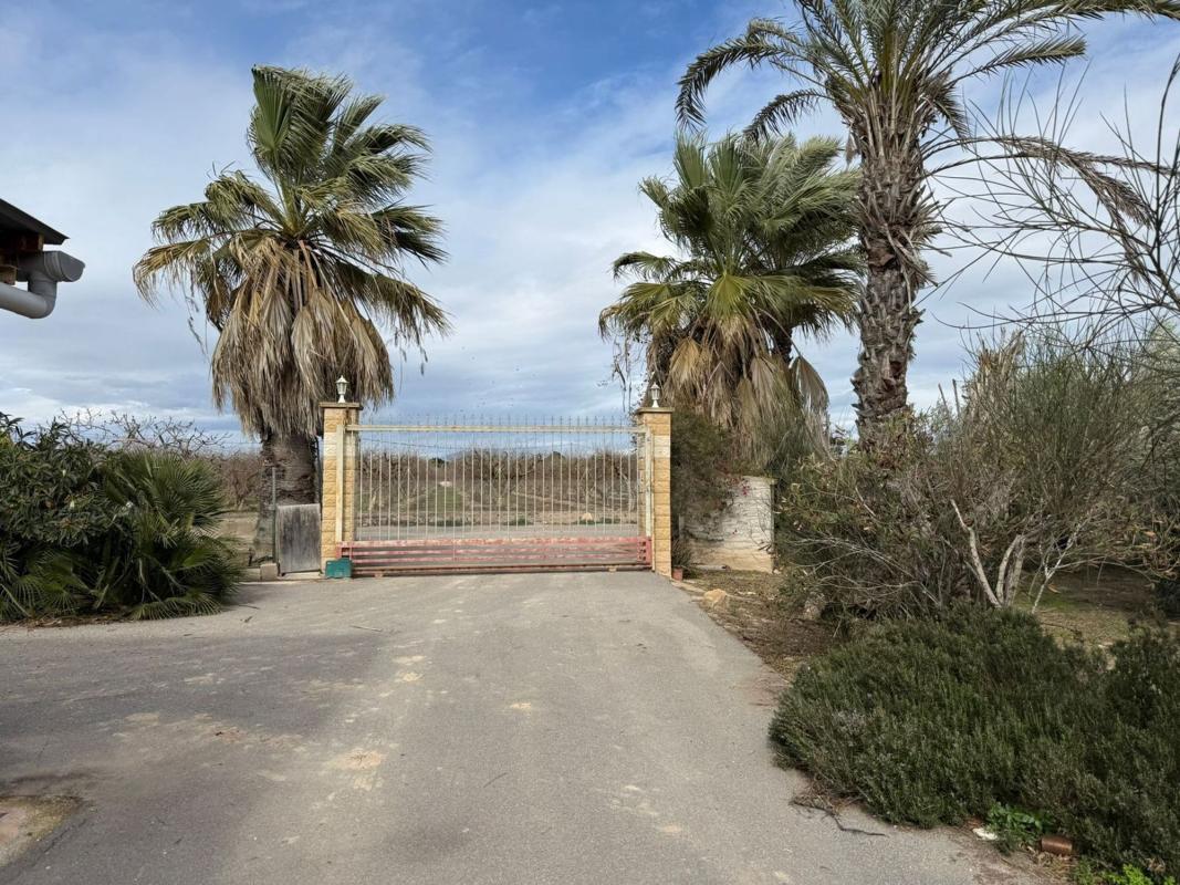 Продажа загородного участка в  Finca rústica en Partida Baya Baja, 2201 b, Las Bayas-Asprillas, Elche / Elx , Эльче / Эльх photo 4